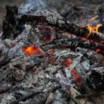 ne-gnojilo-ampak-carovnija-kako-lahko-pepel-prinese-dvojni-pridelek.webp.webp