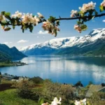 pocitnice-danes-18-maj-kaj-absolutno-ne-sme-biti-storjeno.webp.webp