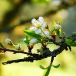 pocitnice-danes-22-maj-kaj-ne-smete-poceti-in-ljudska.webp.webp