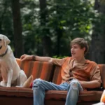 teh-5-filmov-vas-bo-spravilo-v-dobro-voljo-in.webp.webp